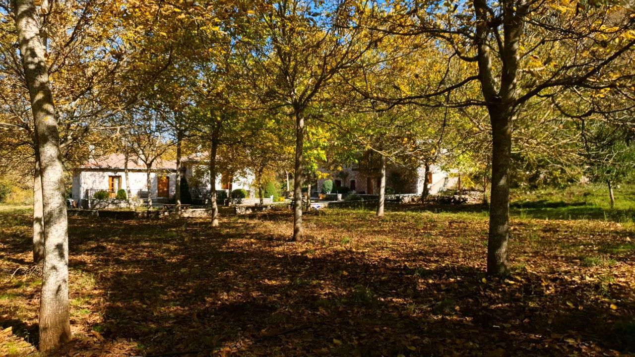 Andrea Sofi Guesthouse Dimitsana Bagian luar foto