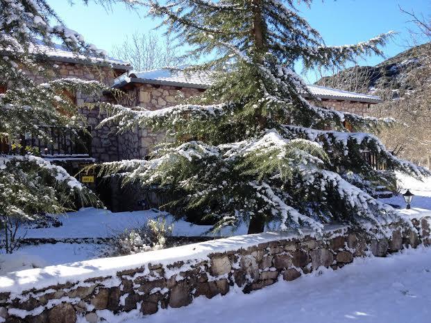 Andrea Sofi Guesthouse Dimitsana Bagian luar foto