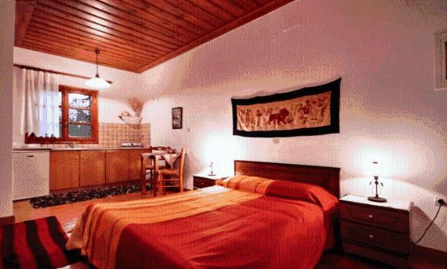 Andrea Sofi Guesthouse Dimitsana Bagian luar foto