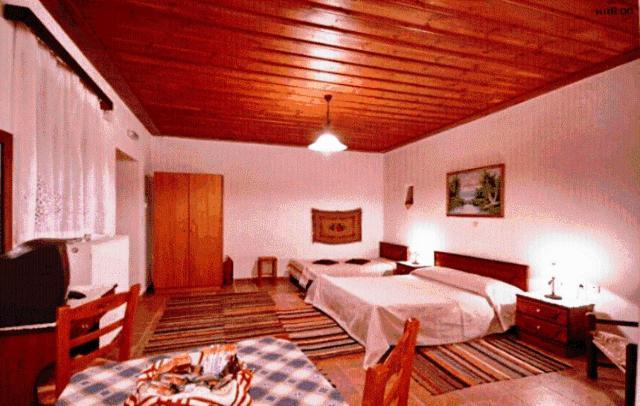 Andrea Sofi Guesthouse Dimitsana Bagian luar foto
