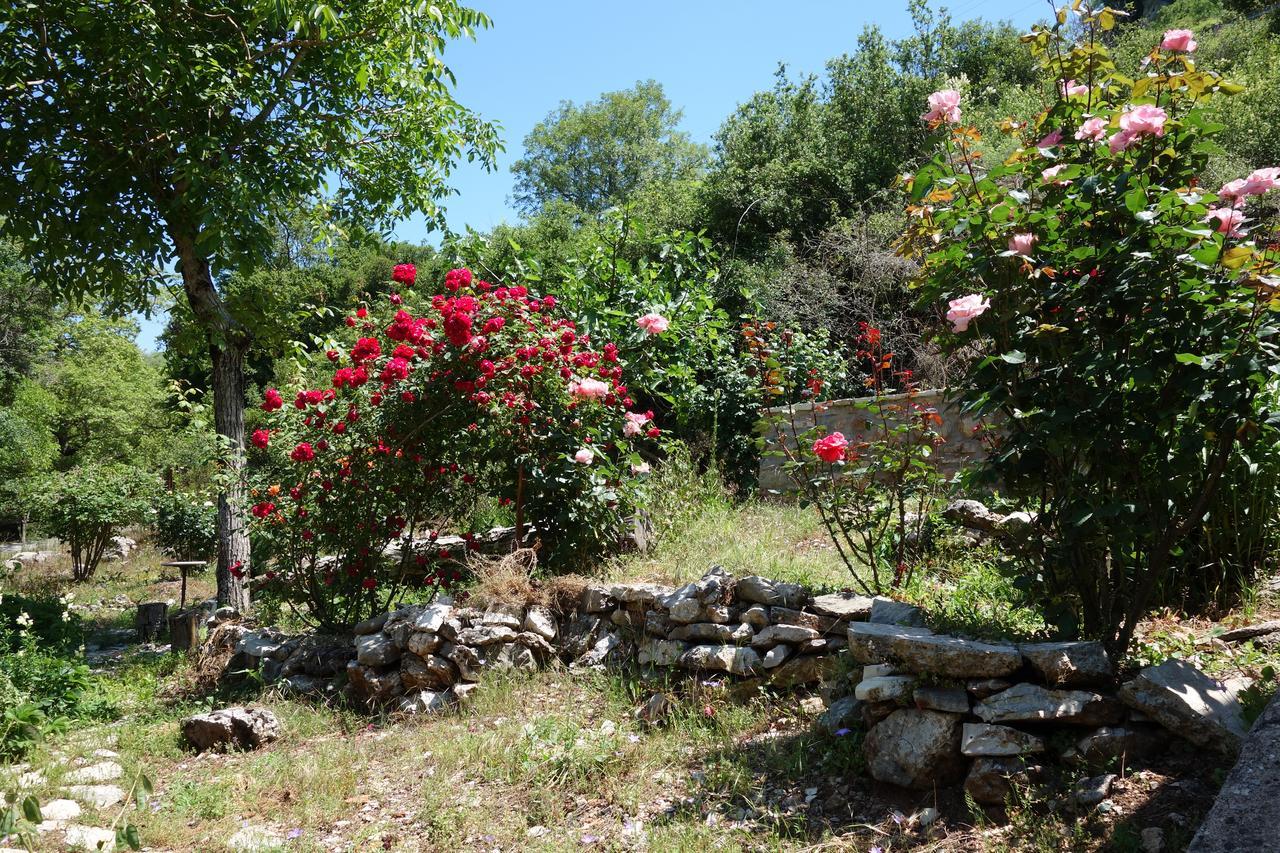 Andrea Sofi Guesthouse Dimitsana Bagian luar foto