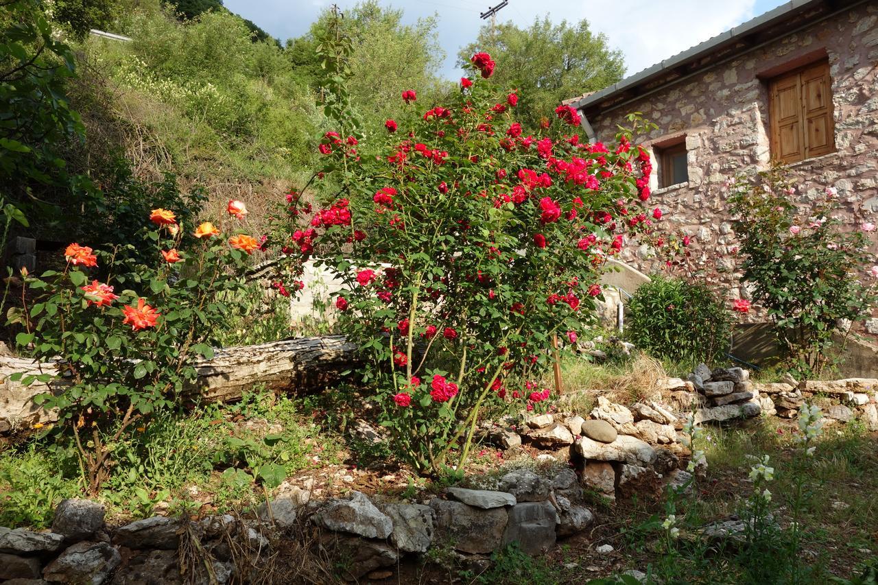 Andrea Sofi Guesthouse Dimitsana Bagian luar foto