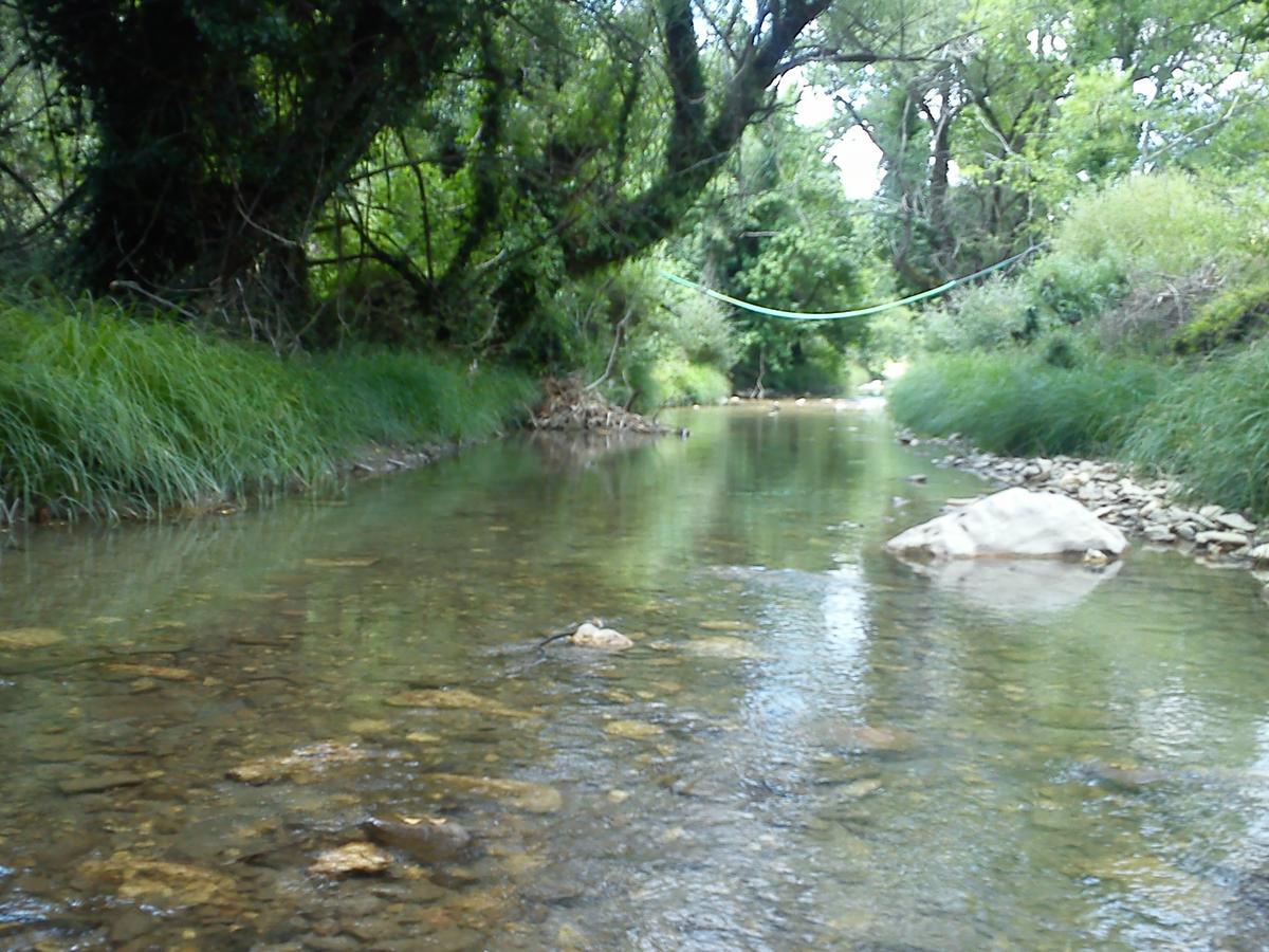 Andrea Sofi Guesthouse Dimitsana Bagian luar foto